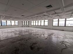 Peninsula Plaza (D6), Office #567617131